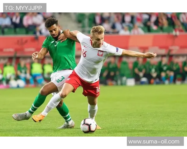 爱沙尼亚与匈牙利足球对决深度分析及赛前展望 爱沙尼亚与匈牙利足球对决深度分析及赛前展望