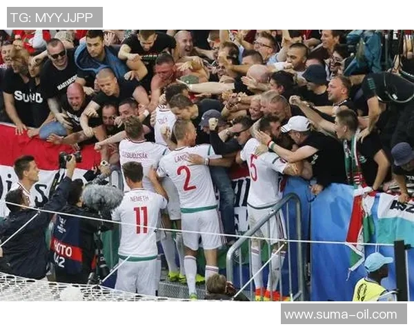 奥地利与匈牙利足球对决分析及足彩投注策略探讨