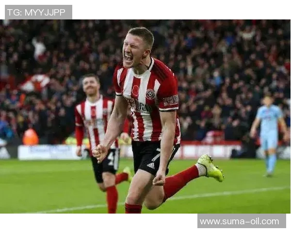 伯恩矛对阵狼队精彩直播全程回顾与赛后分析