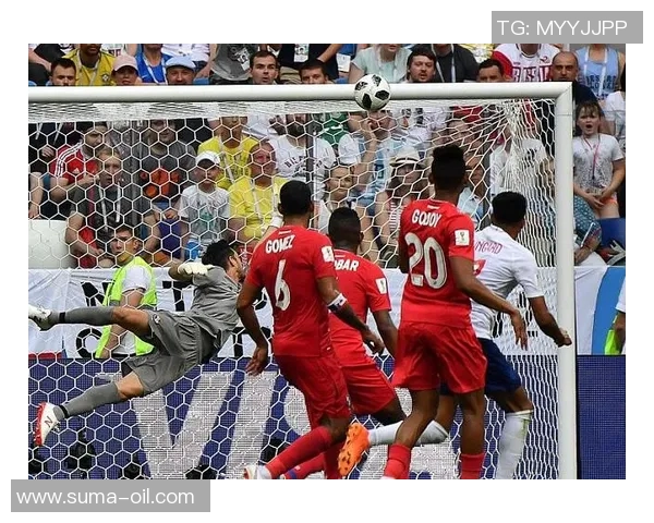 布赖顿与哈德斯激情对决谁将赢得英超赛场的荣耀