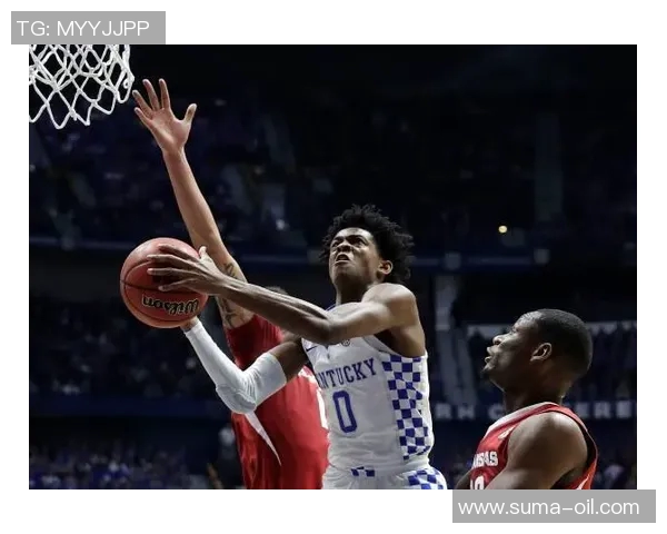 德阿隆福克斯如何引领国王队重返季后赛巅峰之路