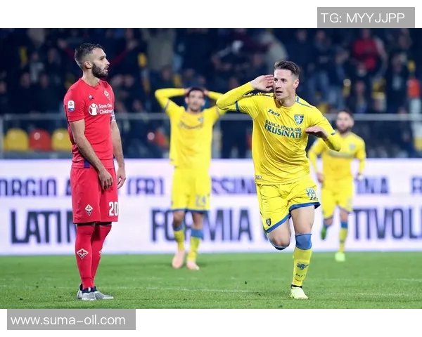 佛罗伦萨在意乙联赛中的表现分析与未来展望