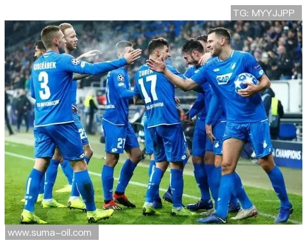 沙尔克04不敌霍芬海姆,德甲排名继续垫底,陷入保级泥潭